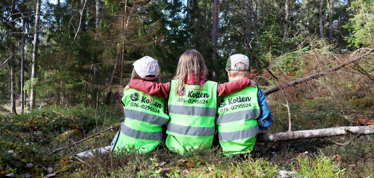 Förskolebarn i skogen